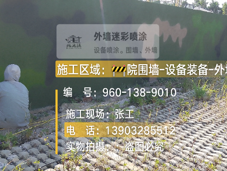 资阳外墙迷彩漆材料价约 45-60 元 /k