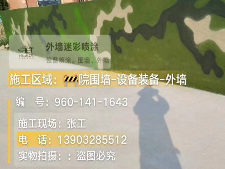 资阳 迷彩漆喷涂价格（按平方米计费）