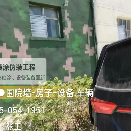 资阳数码迷彩漆施工
